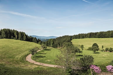 Landschaftsfoto